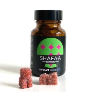 hafaa-Evolve-Magic-Mushroom-Microdosing-Gummy-Bears